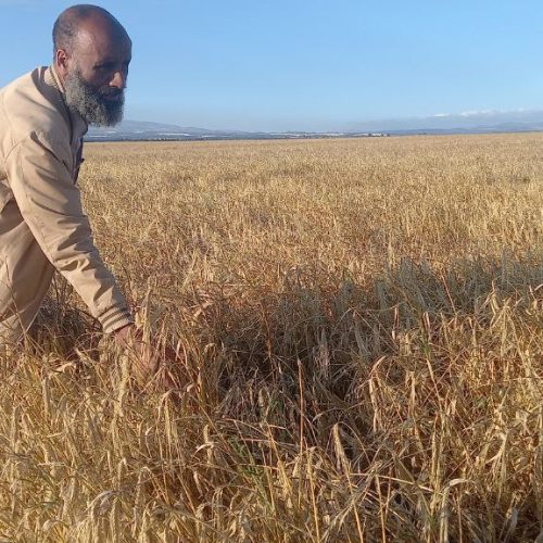 photo_17_2024-06-28_13-37-41