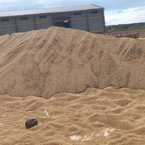 photo_25_2024-06-28_13-37-41