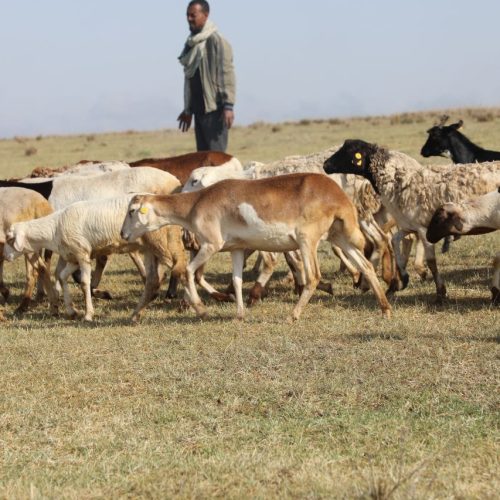 photo_31_2024-06-28_13-37-41