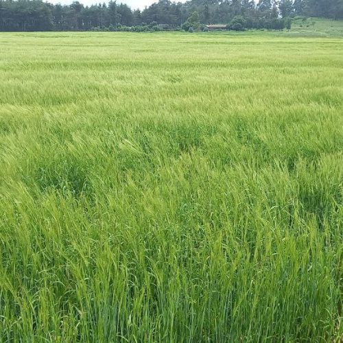 photo_42_2024-06-28_13-37-41